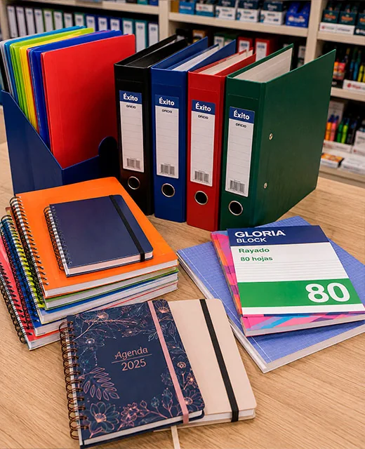 Carpetas, blocks, cuadernos y artículos de librería